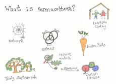 what is permaculture in colour