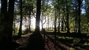 Wiston Lodge Photo: John Paul Dear