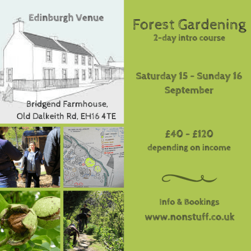 forest gardening Sep